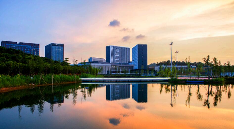 如何快速查询中国移动深圳号码信息:全面指南(深圳移动话费查询) 如何快速查询中国移动深圳号码信息:全面指南(深圳移动话费查询)