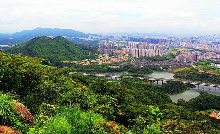 深圳靓号转让平台推荐：选择最适合您的交易渠道(深圳电话号码靓号出售)