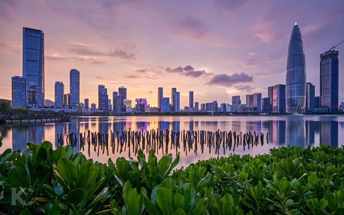 深圳地区头手机号码的优势与选择指南(深圳的手机号以什么开头) 深圳地区头手机号码的优势与选择指南(深圳的手机号以什么开头)