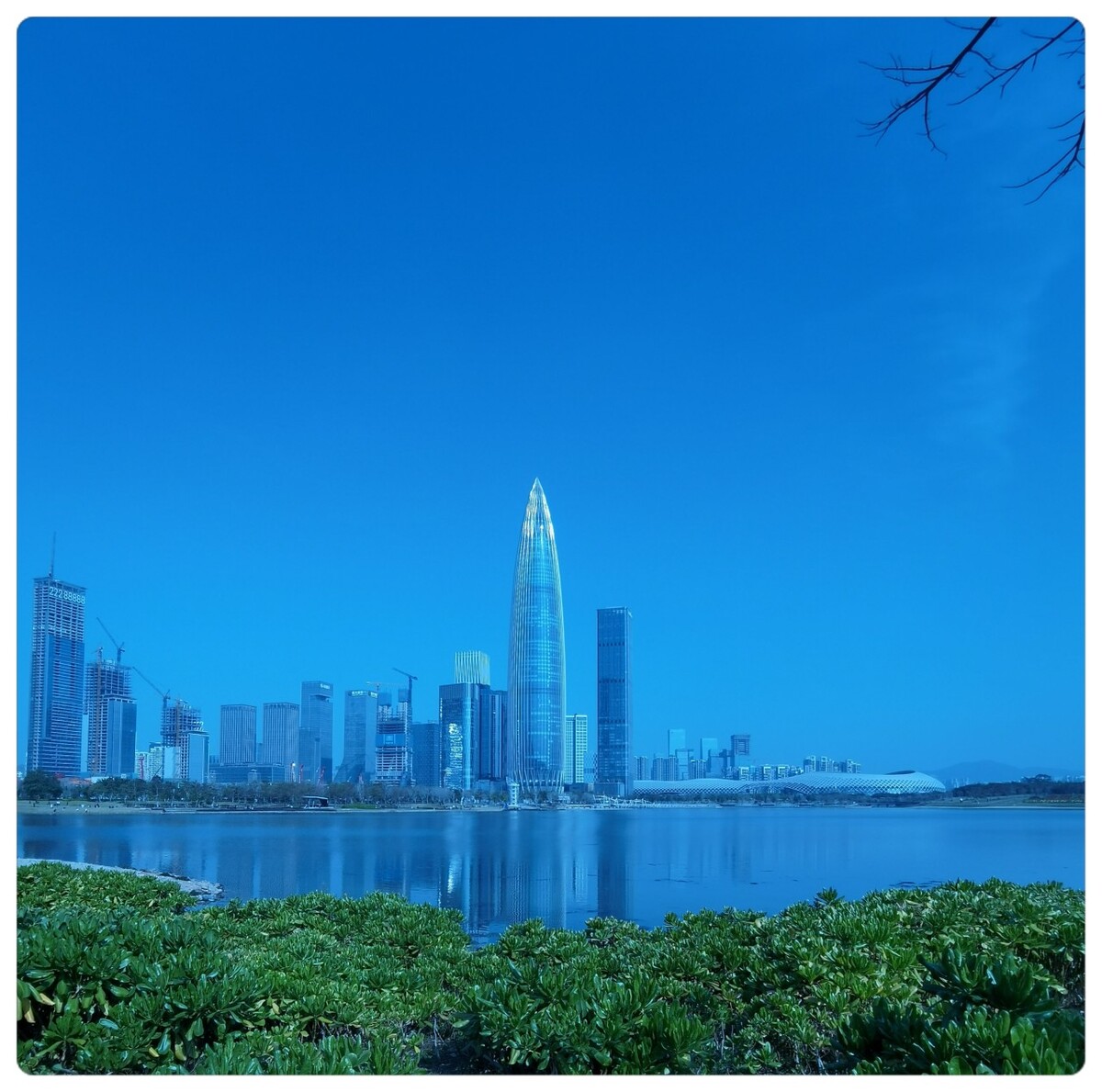 深圳联通选号网：轻松选择专属号码，享受更便捷通信体验(深圳联通选号系统)