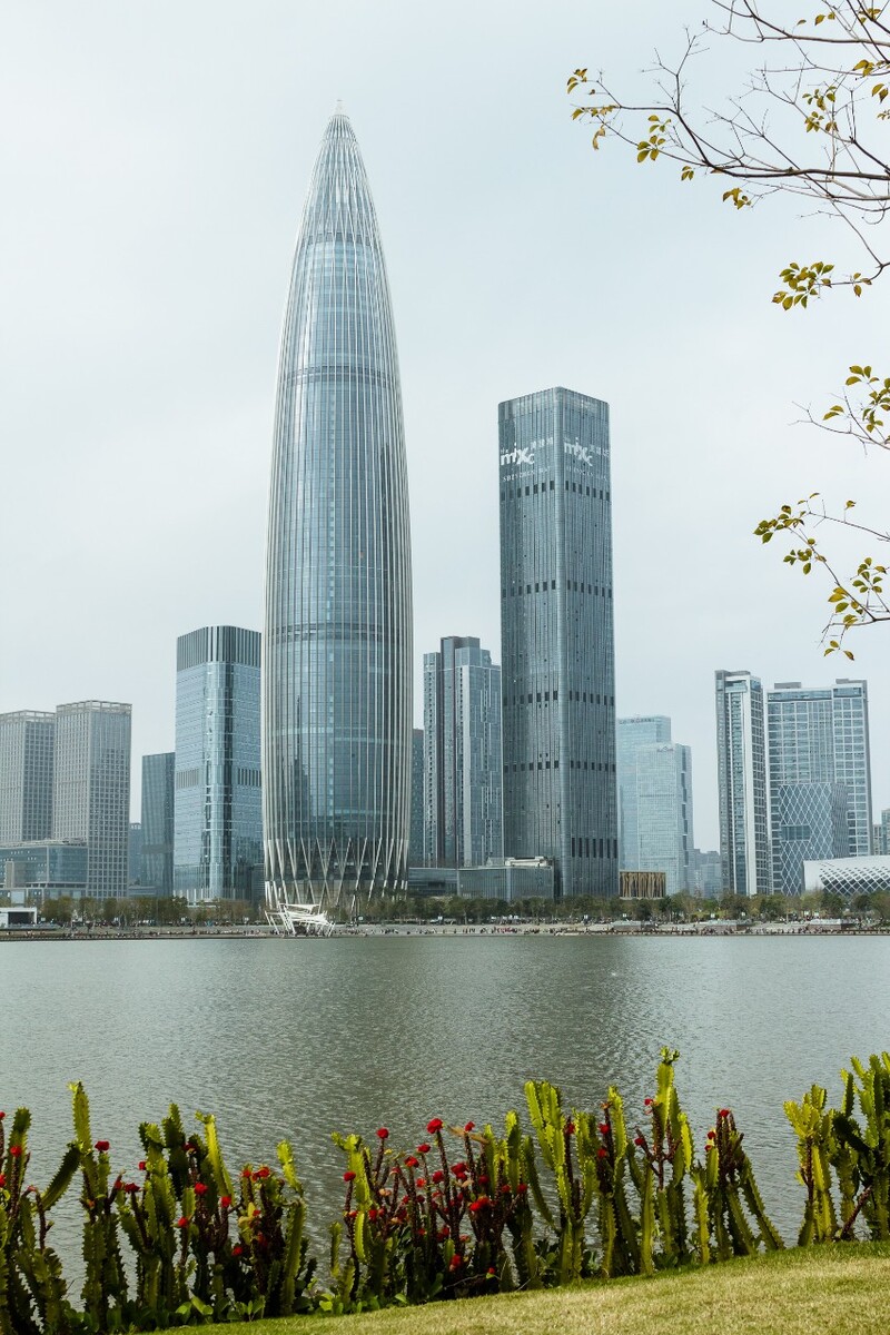 如何快速代办深圳手机号码,轻松享受便捷通信服务(怎么办深圳电话卡)