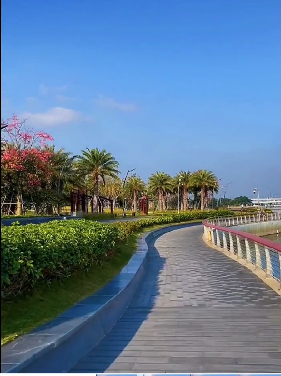 晚上接到深圳的手机号码,背后隐藏的秘密你知道吗?(深圳陌生电话)