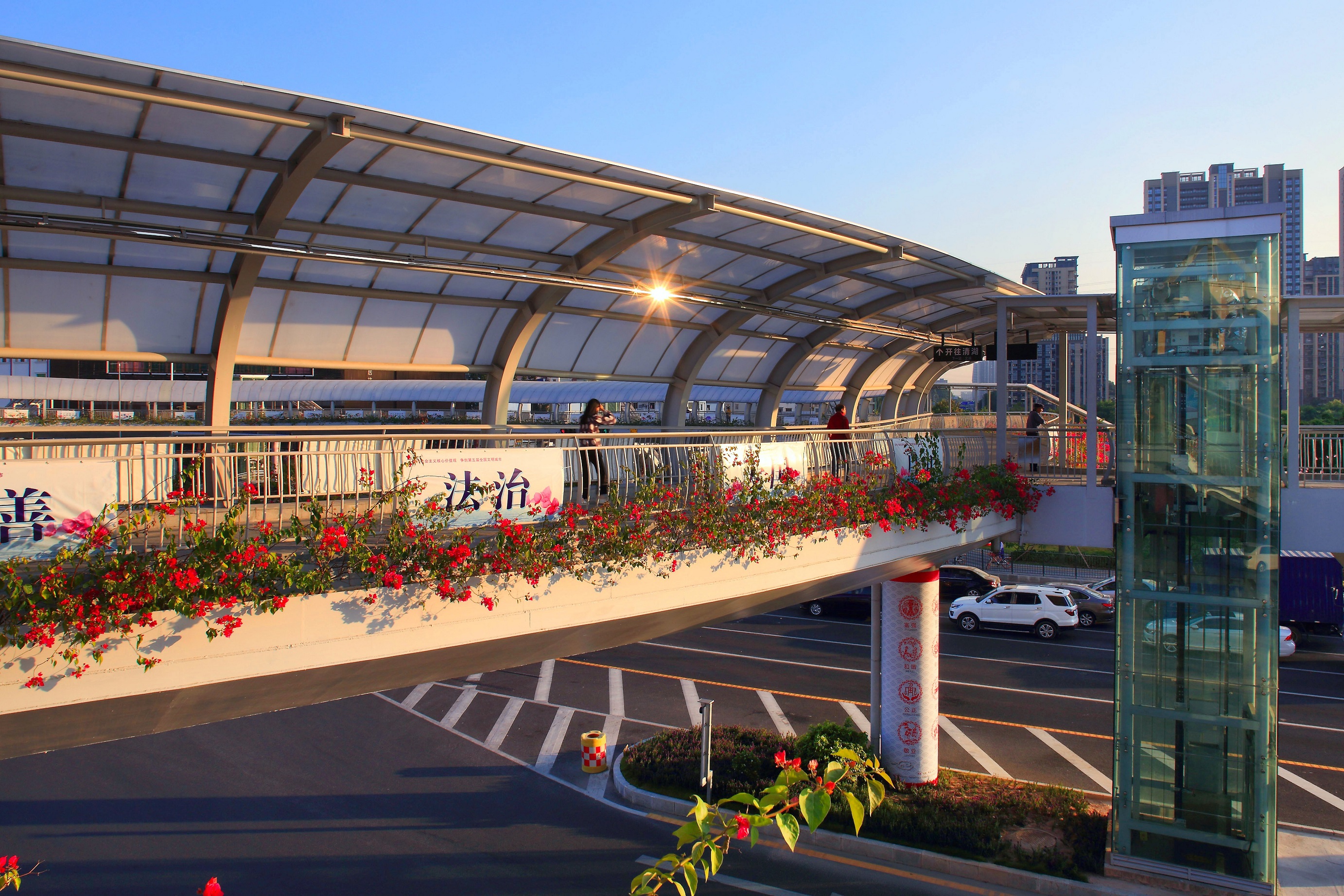 如何在网上挑选深圳移动靓号？选号技巧与注意事项分享(网上选号)