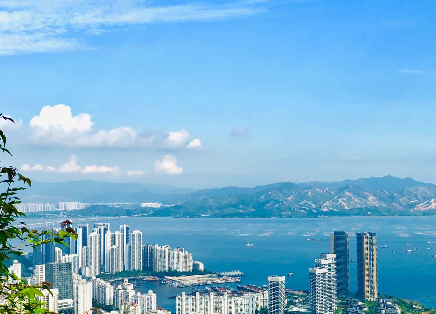 深圳手机号码开头解析：不同区号背后的秘密与趋势(深圳地区手机号码开头)