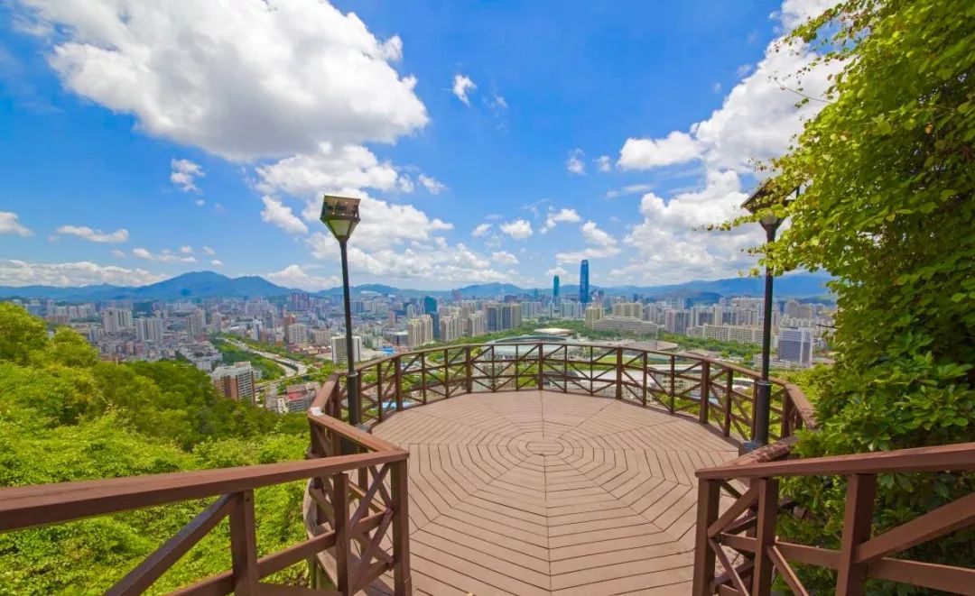 深圳手机靓号交易平台官方客服电话全解析(深圳市手机靓号交易)