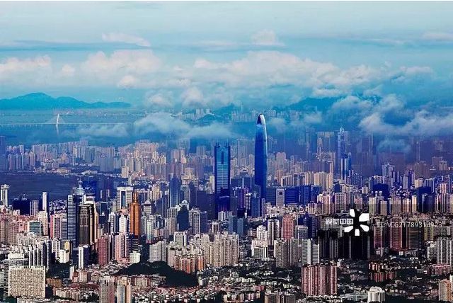 深圳手机靓号交易平台官网查询指南：如何安全快捷地购买与转让靓号