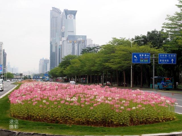 深圳移动手机号码选号网站:如何轻松选择心仪号码(深圳市移动号码选号) 深圳移动手机号码选号网站:如何轻松选择心仪号码(深圳市移动号码选号)