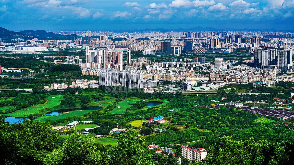 深圳手机号靓号价格低的背后原因揭秘(深圳电话号码靓号)