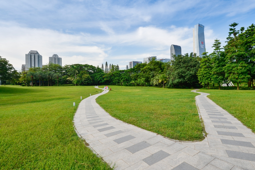 深圳靓号回收估价指南：如何精准评估手机靓号的市场价值(深圳市手机靓号交易)