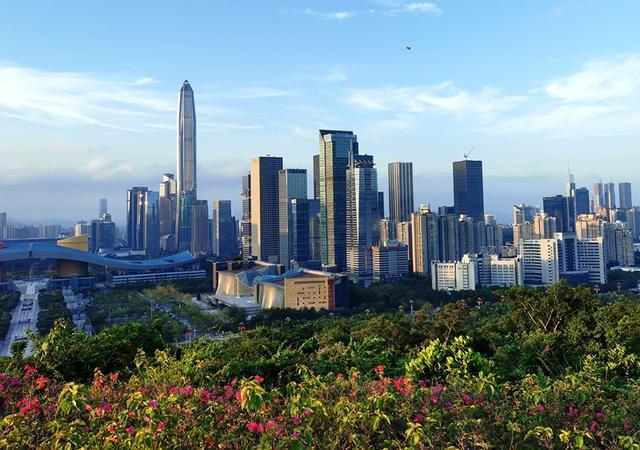 深圳手机号码号段大全及其变化趋势分析(深圳电话号码号段)