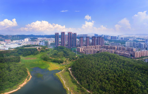 深圳移动老号段排名大揭秘：哪些号段最具价值？(号码网)