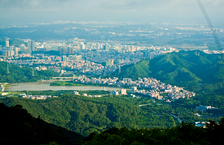 深圳移动手机靓号最新出售动态：优质号码抢购进行时(深圳移动手机号码大全选号)
