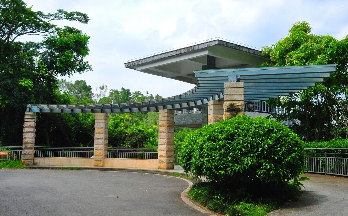 深圳手机靓号电话求购，抢占优质号码机会！(深圳市手机靓号)