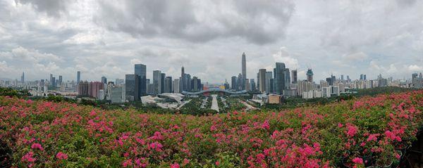 深圳免费靓号手机号码获取途径与推荐(深圳手机号码靓号商城) 深圳免费靓号手机号码获取途径与推荐(深圳手机号码靓号商城)