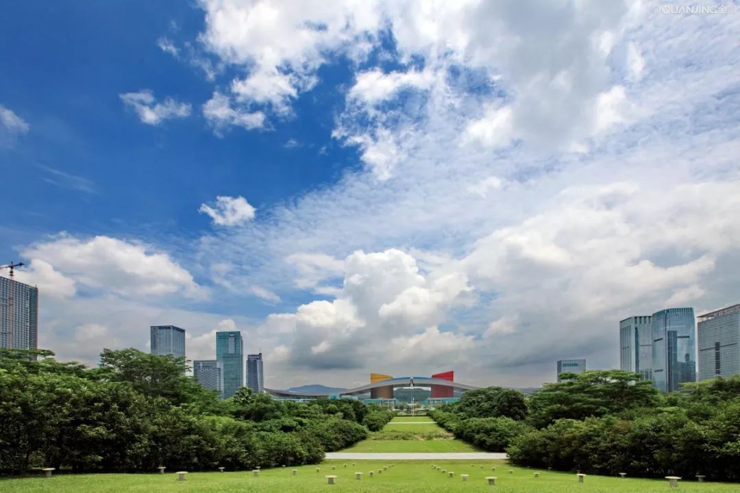 深圳靓号网是否正规可靠？价格行情揭秘(深圳市手机靓号交易)